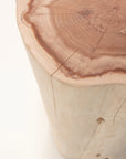 A close-up of the Jupiter Side Table - Cedar by SOBU, highlighting its smooth, light-colored sides, textured top surface with visible growth rings and natural cracks.