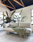 A modern living room featuring the SOBU Woody Sofa (One Arm) in White Ash with Natural Kapok Cushions, paired with a green throw blanket, leafy plants behind the sofa, and natural light streaming through black-framed windows below exposed beams.