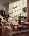 Sunlight fills a cozy living room with modern wooden furniture, green plants, and the Emily Coffee Table - Walnut by SOBU on a white rug. Soft chairs, wall art, and a round mirror enhance the warm, inviting vibe.