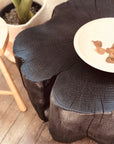 A close-up of the SOBU Jupiter Coffee Table - Shou Sugi Ban, showing its round, dark wooden surface with visible grain and cracks beside a light ash wood stool. A pale bowl with dried leaves sits on the table, and a potted plant is in the background.