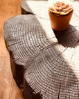 A small potted succulent rests on SOBU’s round Jupiter Coffee Table - Shou Sugi Ban, its textured wood grain and cracks highlighted by warm sunlight.