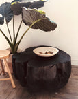 The SOBU Jupiter Coffee Table - Shou Sugi Ban, topped with a ceramic bowl of dried leaves, stands beside a wooden stool and a potted plant with broad green leaves on a wooden floor.