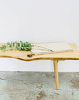 The SOBU Mars Live Edge Bench in White Ash features a natural, uneven trim and holds a folded beige cloth with a eucalyptus sprig, set against a white wall and worn pale concrete floor.