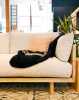 The SOBU Woody Sofa SAMPLE_(DZ), a modern beige piece with high-density foam cushions, features a light pink pillow and black patterned blanket, set in a bright room with large windows, plants, and wooden accents.