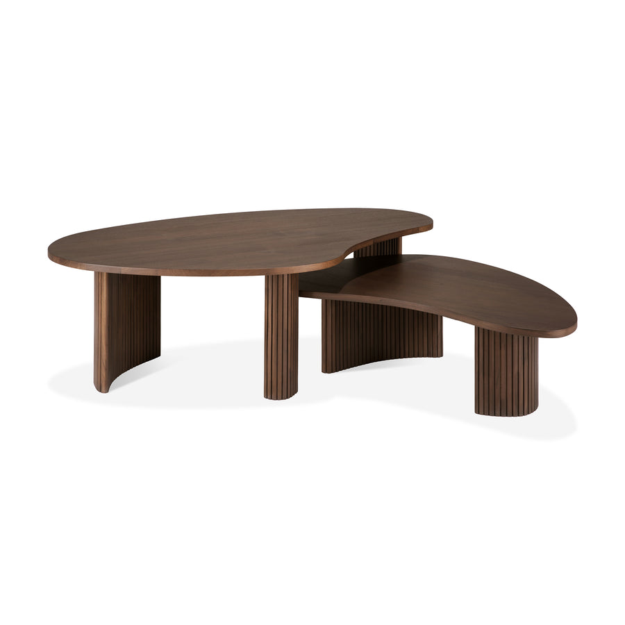 Boomerang Coffee Table - Varnished Teak