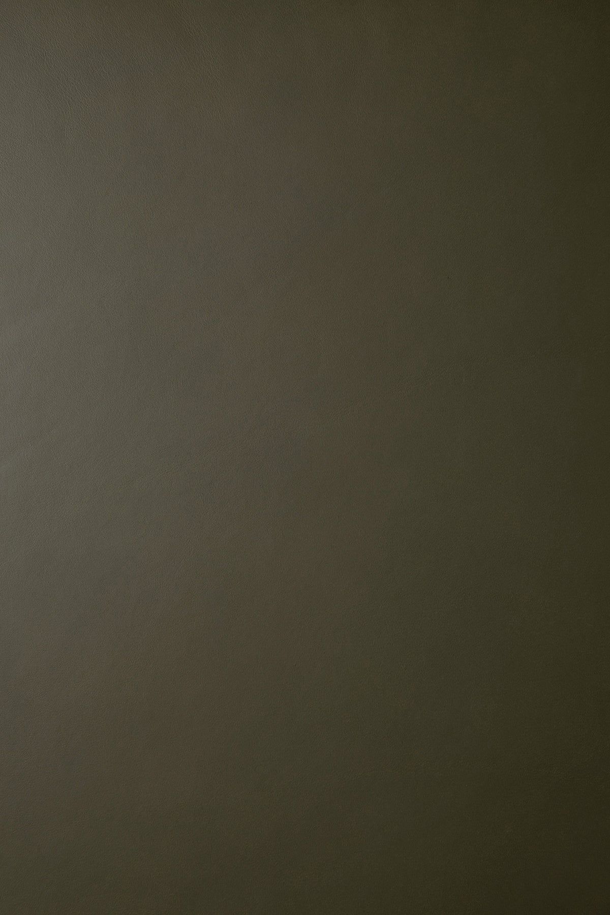 Close-up view of the olive green leather upholstery texture on a Barrow Lounge Chair - Green Leather.