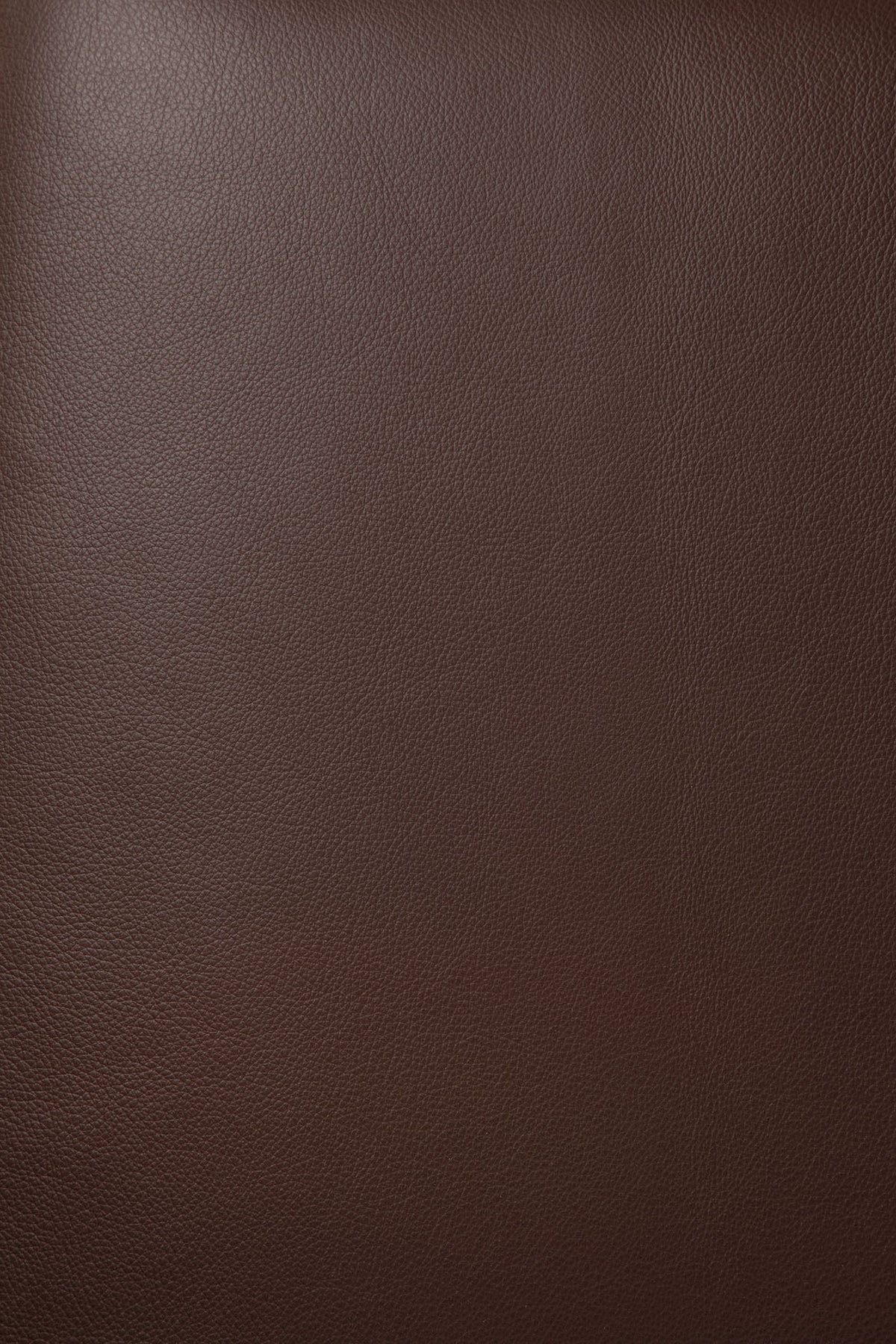 Close-up of the burgundy leather grain texture on a Jack Lounge Chair - Burgundy Leather by Ethnicraft.