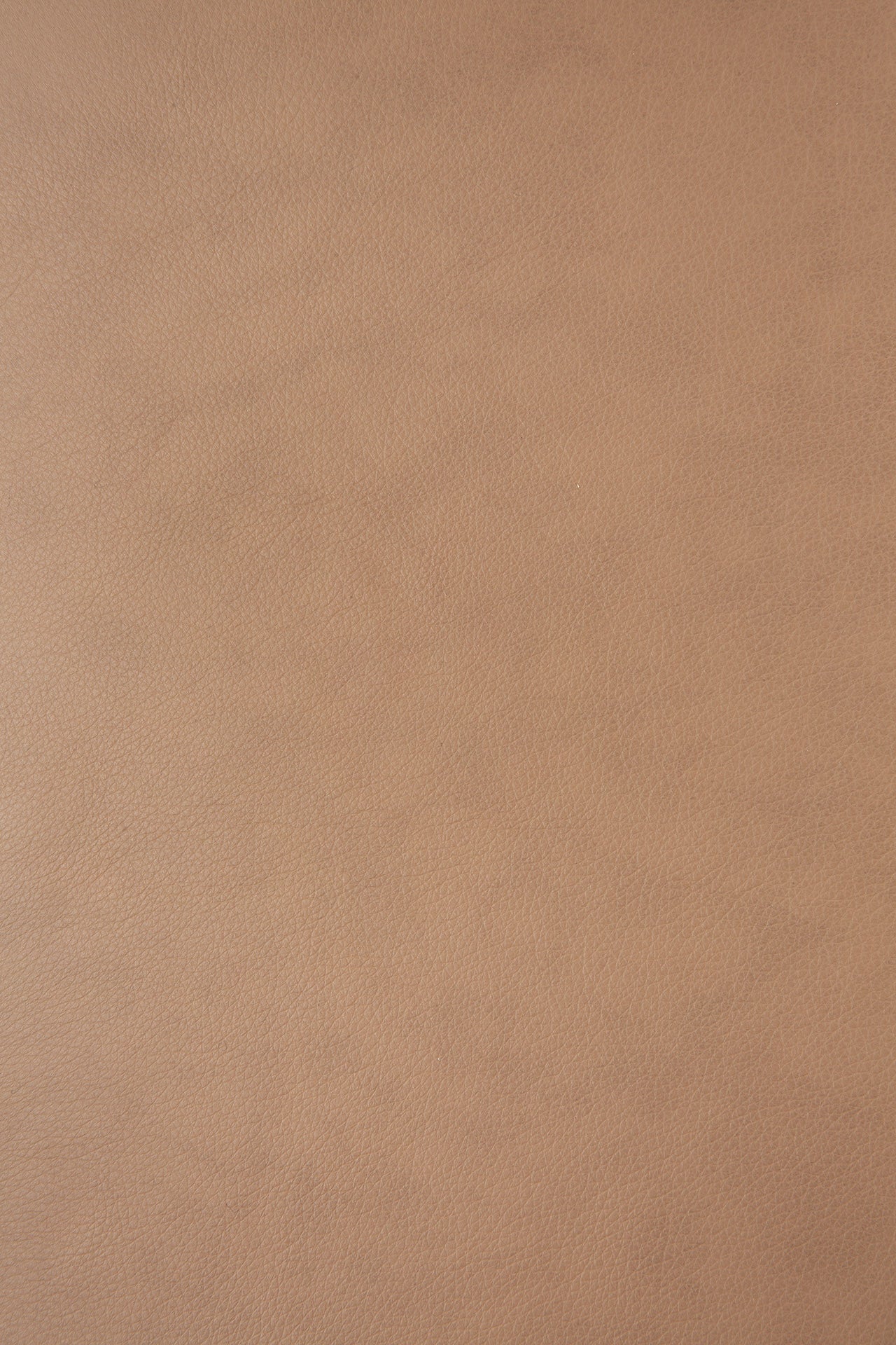 Close-up of light brown Sienna leather with natural grain and slight color variations, as featured on the Ethnicraft Bok Dining Chair crafted from solid oak.