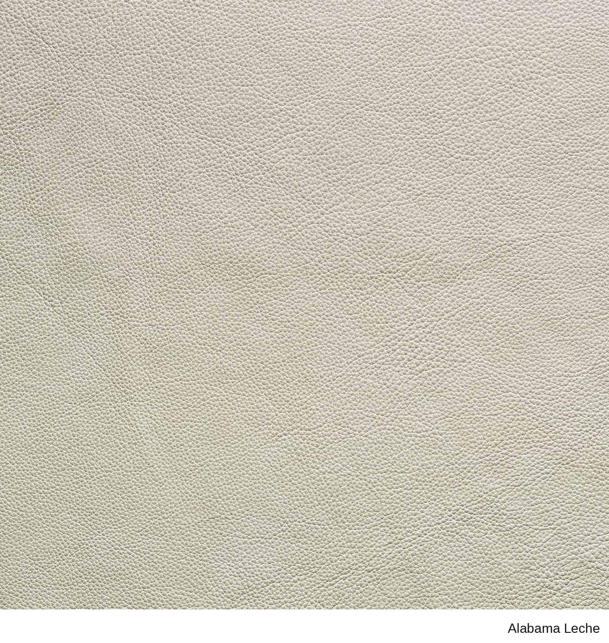 Material Swatches in Alabama Leche, an off-white leather with a textured grain from the Danish Collection.