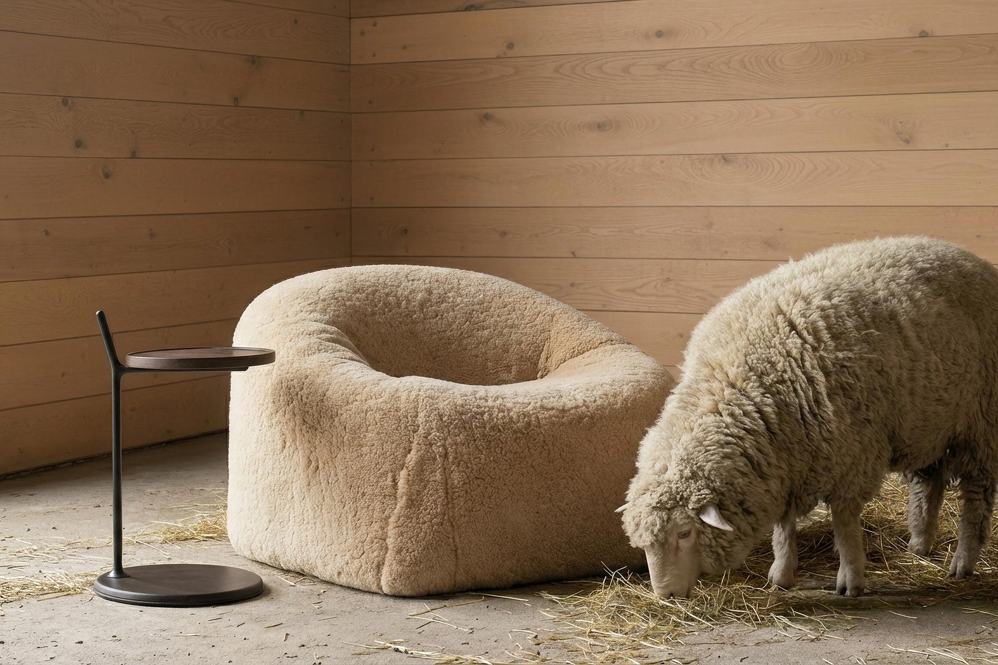 A sheep grazes on hay beside a beige, woolly armchair and a Bystander Side Table by Wooden Stories in a wooden-paneled room.