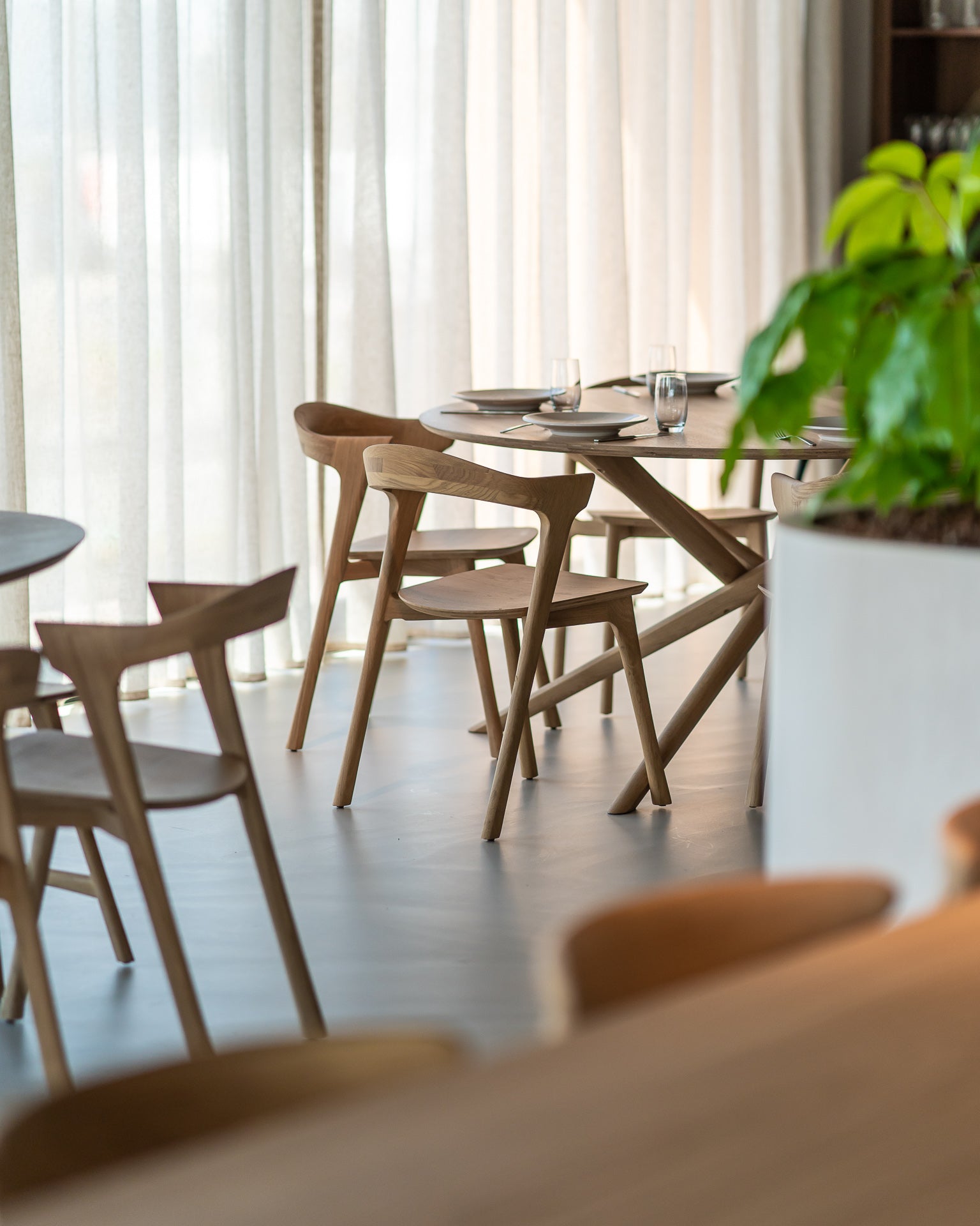 A modern dining area features the Ethnicraft Mikado Dining Table Round in oak with wooden chairs, set with plates and glasses. Soft natural light filters through sheer curtains, and a large green potted plant stands on the right.