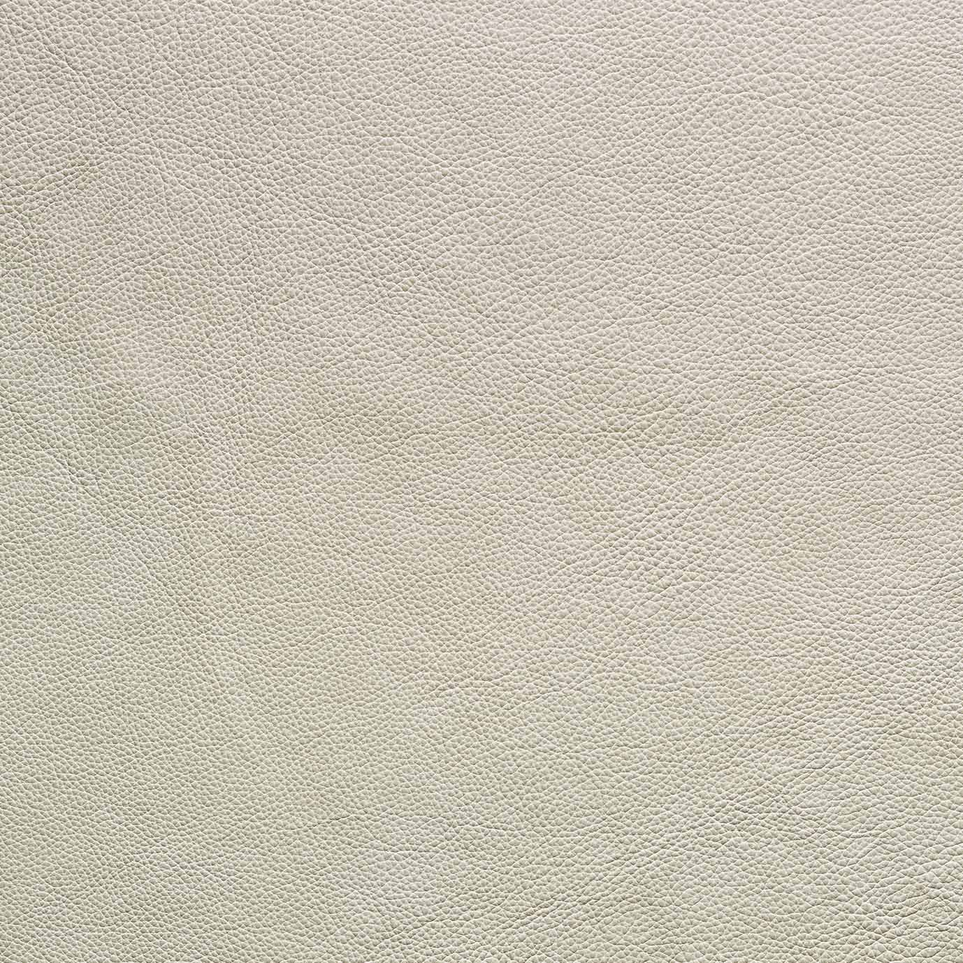 Close-up of light beige textured leather from Wooden Stories&#39; Fabric + Leather Swatches, featuring fine, raised grain—ideal for made-to-order pieces or matching with fabric samples.