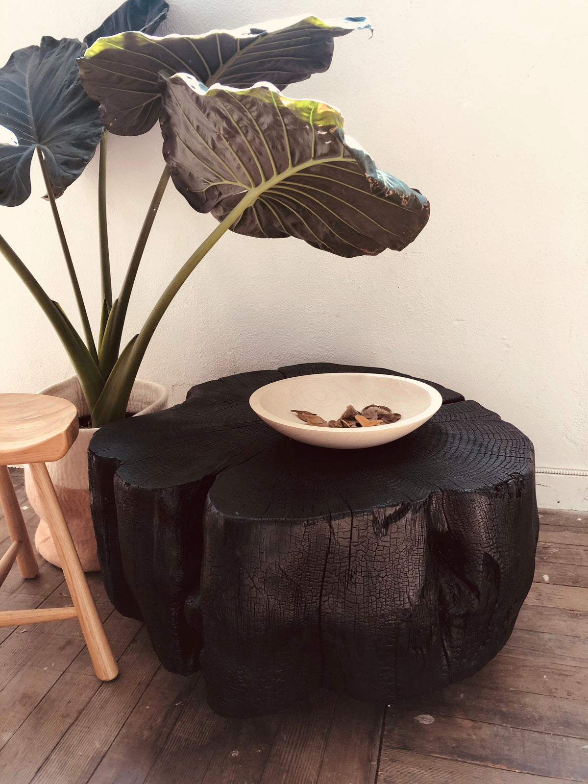 Sho Sugi Ban Edge Black Walnut Coffee Table